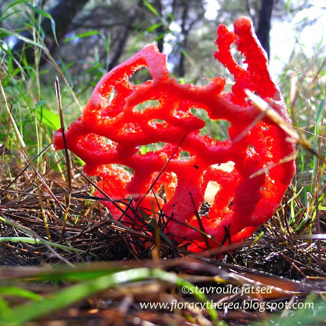 Σαν από άλλο κόσμο….